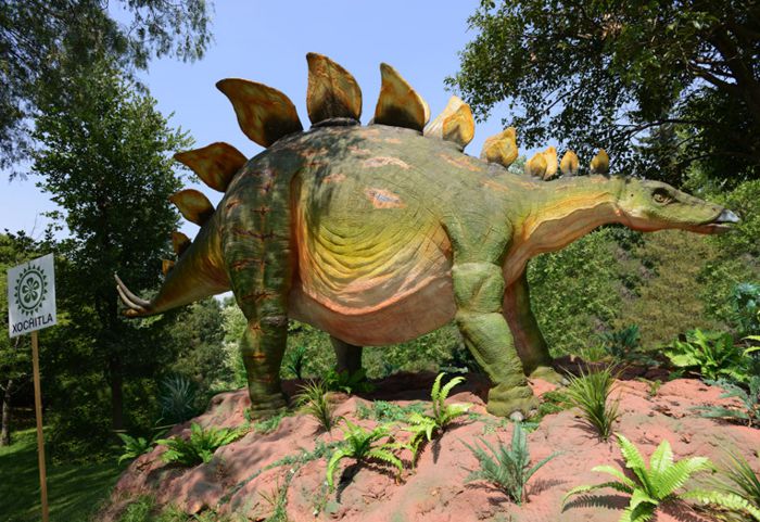 Dinosaurio con placas dorsales para ataque y defensa