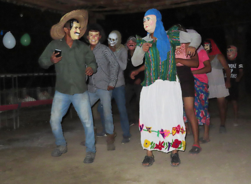 Coles bailan en limites de municipios de Chiconamel y Platón Sánchez, Ver.