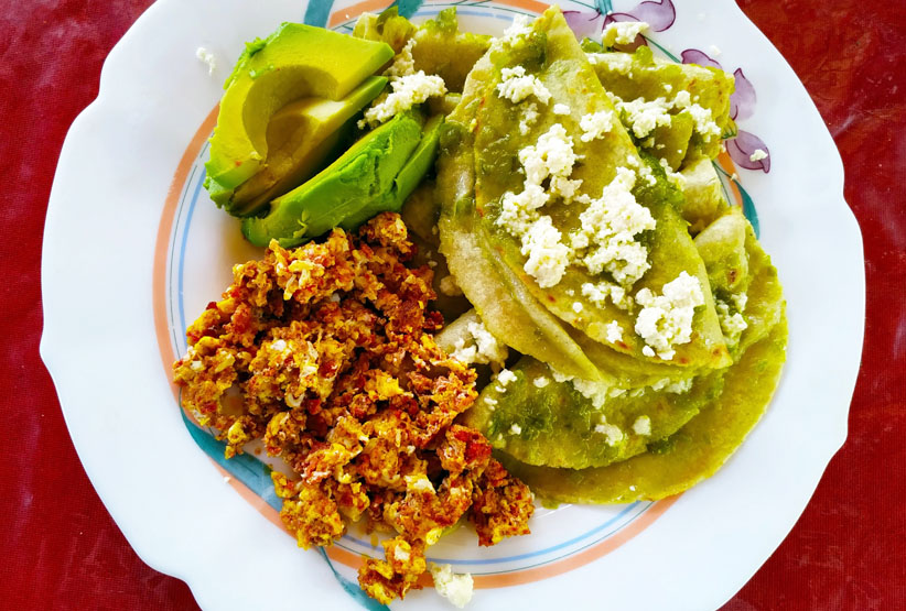 Enchiladas con guacamole y chorizo. Chiconamel